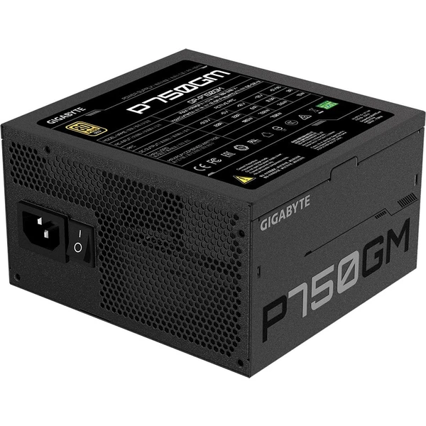GIGABYTE P750GM 750W - Zdroje - Obrázek 1LVK300401