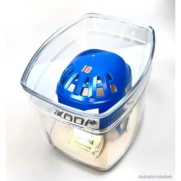 Replika Retro Mini Helmet - David Pastrňák #88 (limitovaná edice /99) - Repliky - Obrázek 3647000N01