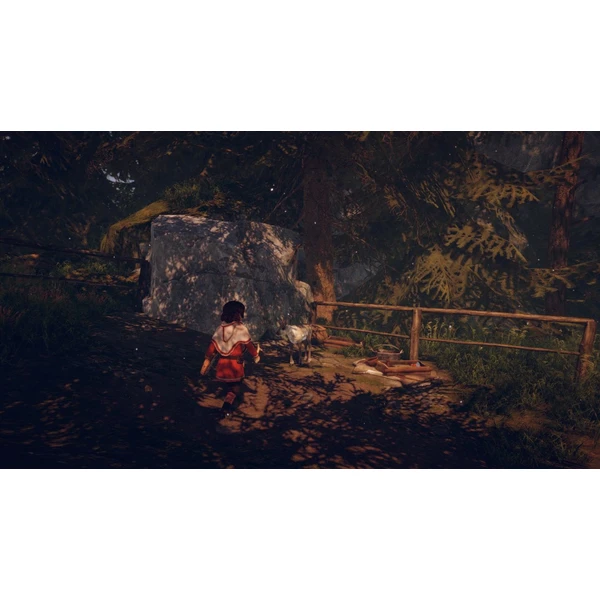 Skábma Snowfall (Switch) - Hry pro Nintendo Switch - Obrázek 3BF2G00101