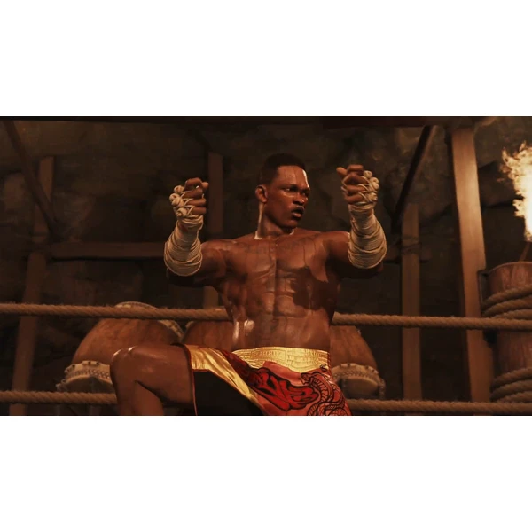EA UFC 4 (PS4) - Hry pro PS4 - Obrázek 5PN3100201