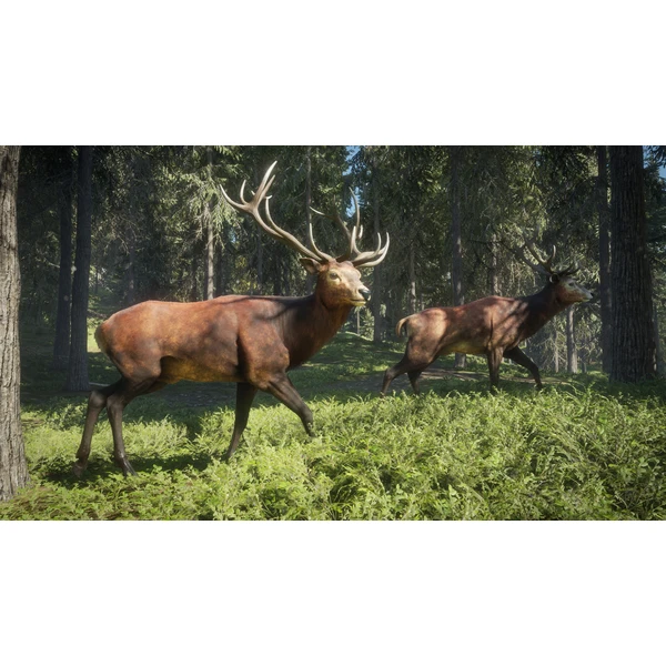 theHunter: Call of the Wild (PS4) - Hry pro PS4 - Obrázek 6JX3100201