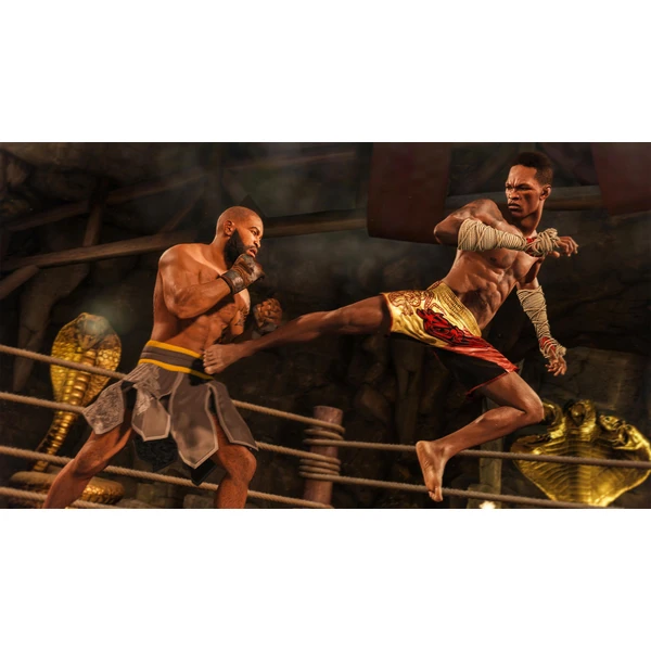 EA UFC 4 (PS4) - Hry pro PS4 - Obrázek 6PN3100201