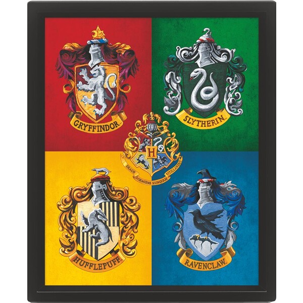 Levně 3D obraz Harry Potter barevný