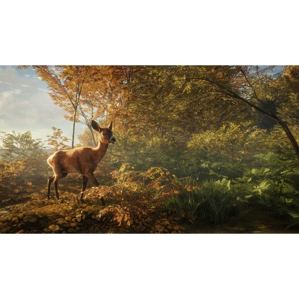 theHunter: Call of the Wild (PS4) - Hry pro PS4 - Obrázek 7JX3100201