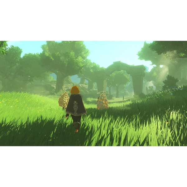 Hyrule Warriors: Age of Imprisonment (Switch 2) - Hry pro Nintendo Switch 2 - Obrázek 81QD000P01