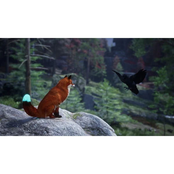 Spirit of the North 2 (PC) - Hry pro PC - Obrázek 92SF000N01
