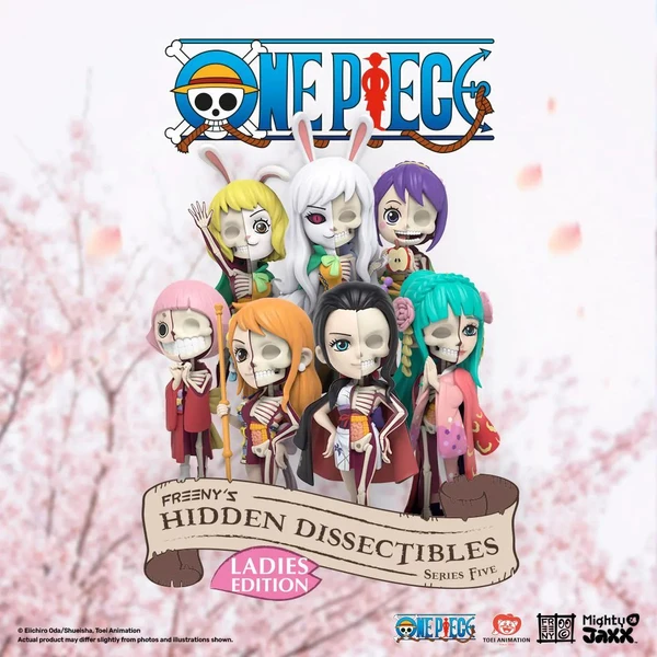 Blind box Freenys Hidden Dissectibles: One Piece (Ladies Edition) S5 - Figurky - Obrázek AB76000J01