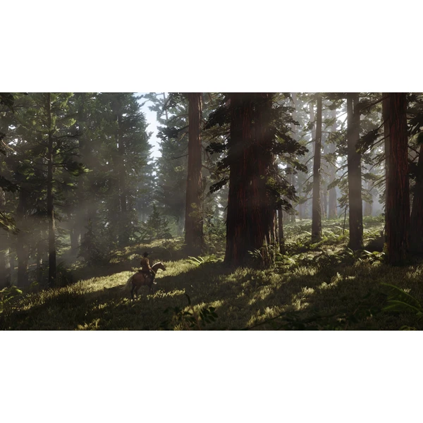 Red Dead Redemption 2 (Xbox One) - Hry pro Xbox One - Obrázek AJI3100201