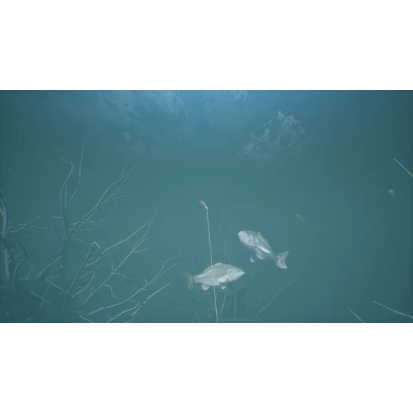 Bassmaster Fishing Deluxe 2022 (PS4) - Hry pro PS4 - Obrázek BART600301