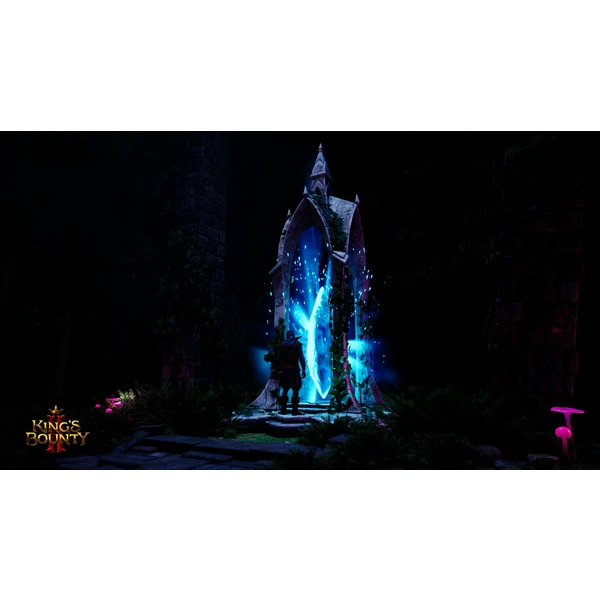 King's Bounty II Collector's Edition (PS4) - Hry pro PS4 - Obrázek BFDU100201