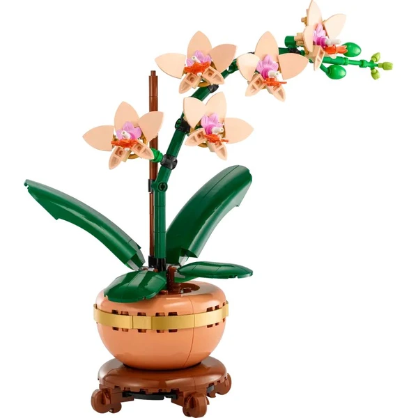 LEGO Botanicals 10343 Miniaturní orchidej - LEGO - Obrázek C37G000N01