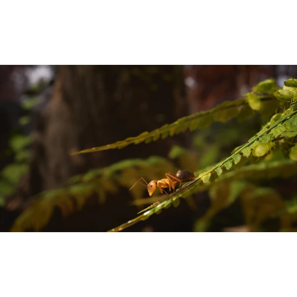 Empire of the Ants (XSX) - Hry pro Xbox Series - Obrázek C3BA000J01