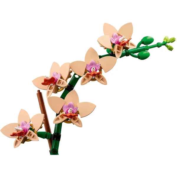 LEGO Botanicals 10343 Miniaturní orchidej - LEGO - Obrázek D37G000N01