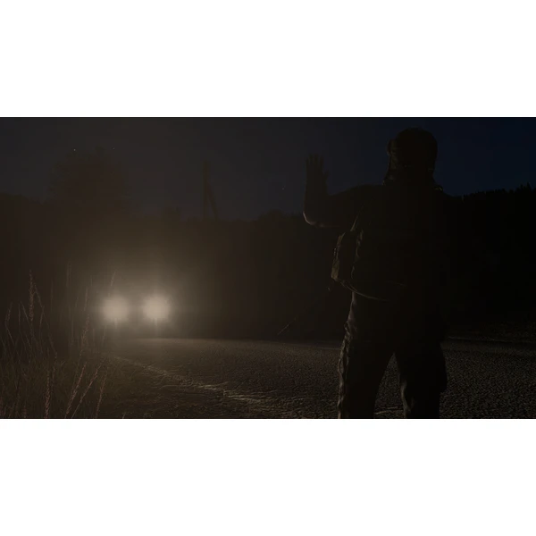 DayZ (PS4) - Hry pro PS4 - Obrázek E9J3100201