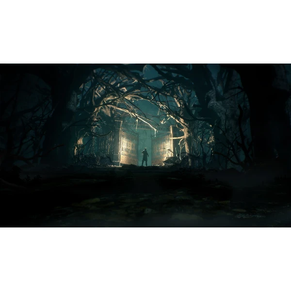 Call of Cthulhu (PS4) - Hry pro PS4 - Obrázek G7H4100201