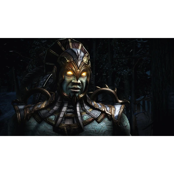 Mortal Kombat X (PS4) - Hry pro PS4 - Obrázek H1E4100201