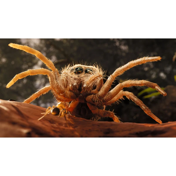 Empire of the Ants (XSX) - Hry pro Xbox Series - Obrázek H3BA000J01