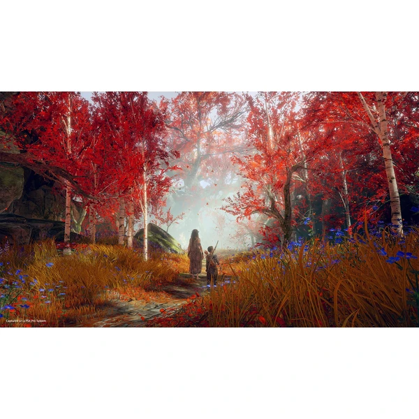 God of War (PS4) - Hry pro PS4 - Obrázek K284100201