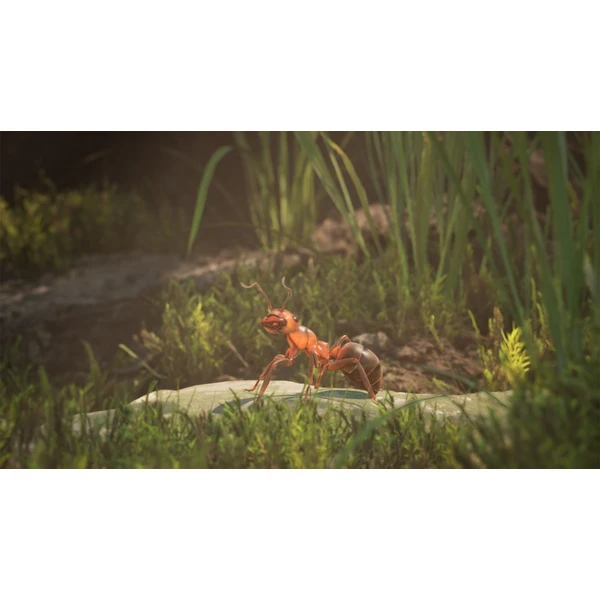 Empire of the Ants (XSX) - Hry pro Xbox Series - Obrázek L3BA000J01