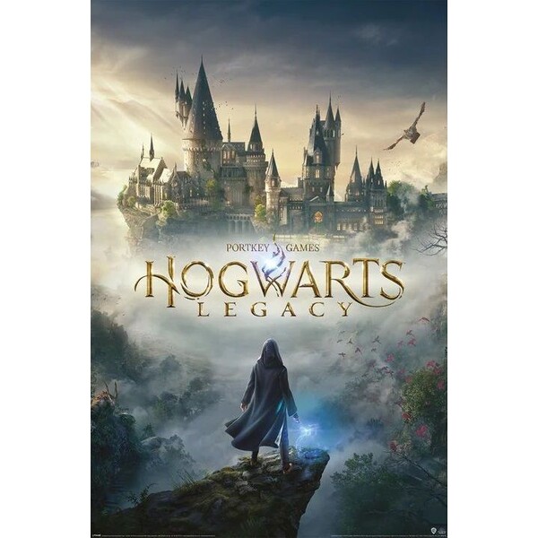 Levně Plakát Harry Potter - Hogwarts Legacy (273)