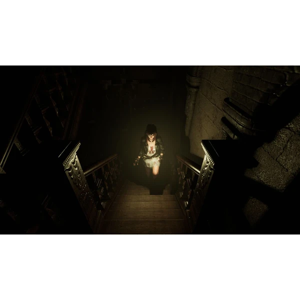 Tormented Souls (PS4) - Hry pro PS4 - Obrázek N8VLF00101