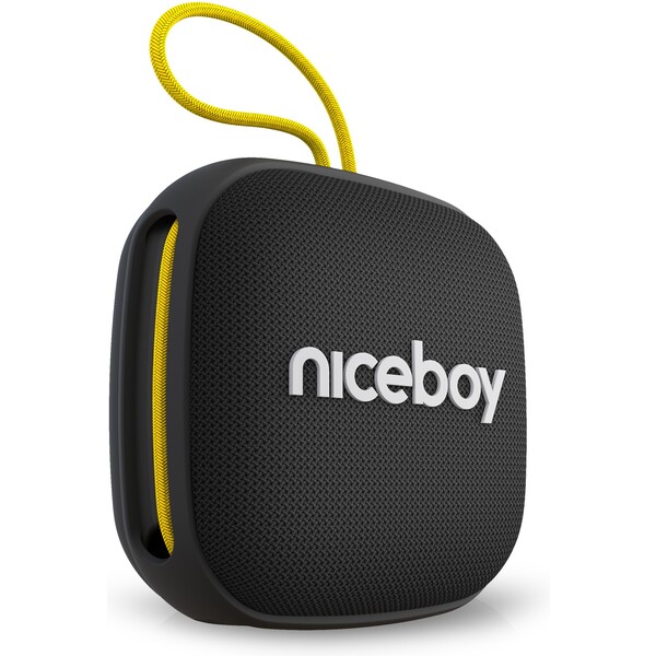 Niceboy RAZE Mini 4