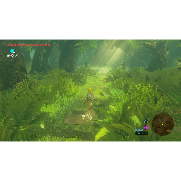 NS2 The Legend of Zelda: Breath of the Wild (Switch 2) - Hry pro Nintendo Switch 2 - Obrázek P7OF000L01