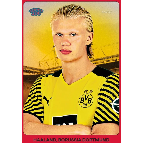 Topps fotbalové karty BVB 2024/25 Team Set - Fotbalové karty - Obrázek Q4MF000J01