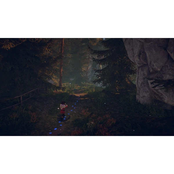 Skábma Snowfall (PS5) - Hry pro PS5 - Obrázek QBF2G00101