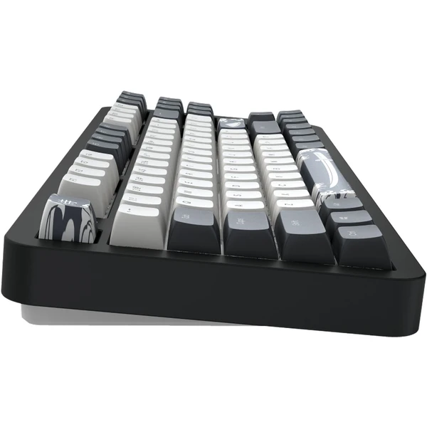 Dark Project ALU87B Bushido mechanická klávesnice (US) - Klávesnice - Obrázek R4IA000O01