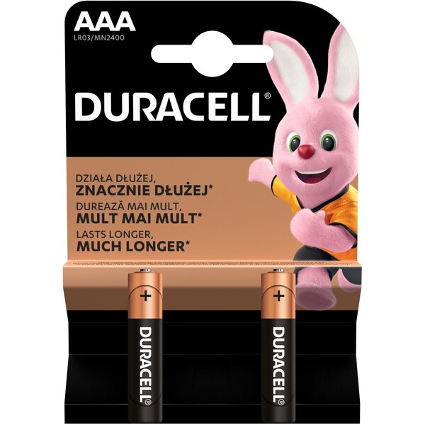 Levně Duracell Basic AAA alkalická baterie, 2 ks