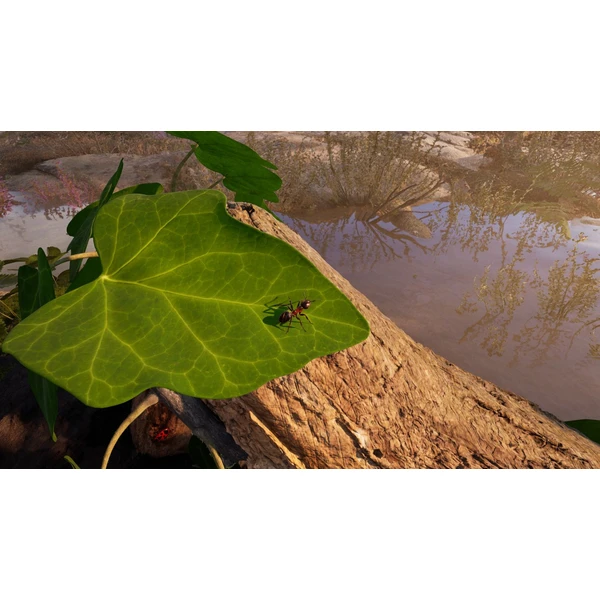 Empire of the Ants (XSX) - Hry pro Xbox Series - Obrázek S3BA000J01