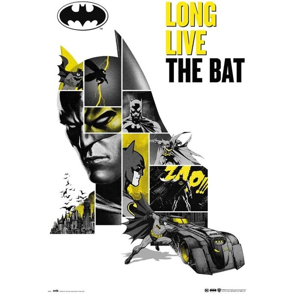 Levně Plakát Batman - 80th Anniversary (140)