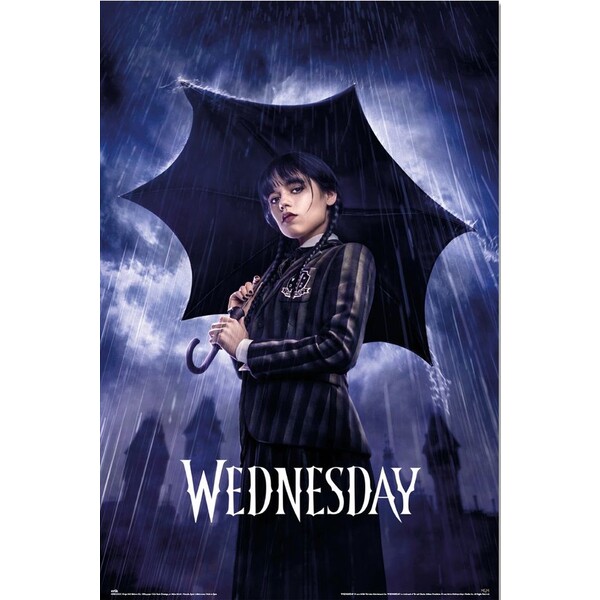 Levně Plakát Wednesday - Umbrella (206)