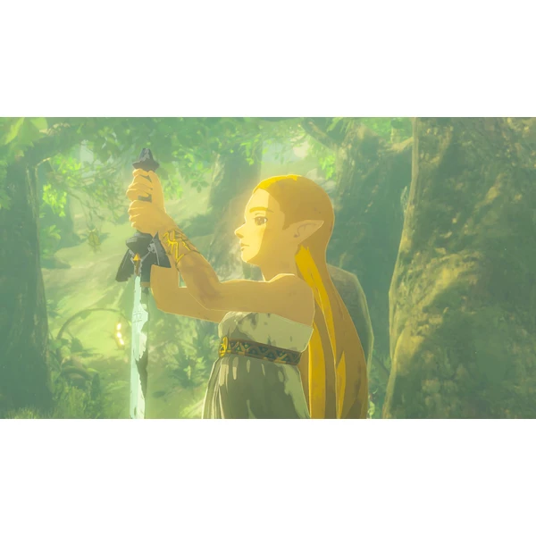NS2 The Legend of Zelda: Breath of the Wild (Switch 2) - Hry pro Nintendo Switch 2 - Obrázek T7OF000L01
