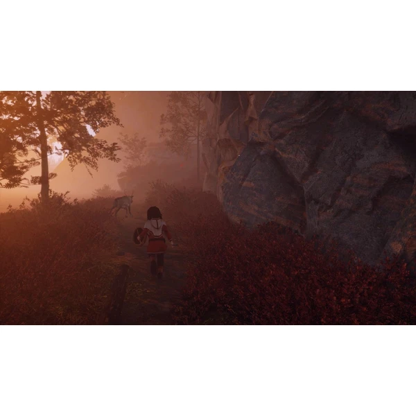 Skábma Snowfall (Switch) - Hry pro Nintendo Switch - Obrázek UAF2G00101