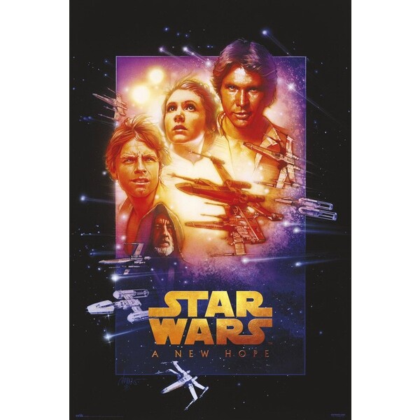 Levně Plakát Star Wars: A New Hope (143)