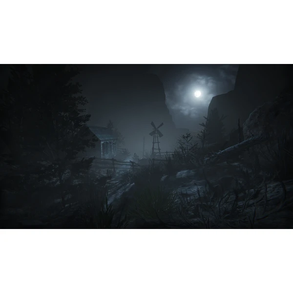 Outlast Trinity (PS4) - Hry pro PS4 - Obrázek VJP3100201