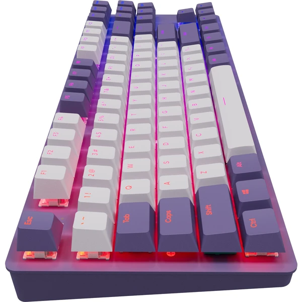 Dark Project One KD87A Skeleton Violet/White - Klávesnice - Obrázek WLT9700301