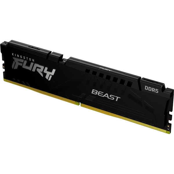 Kingston FURY Beast Black DDR5 64GB 5600MT/s CL36 DIMM (2x32GB) EXPO/XMP - Operační paměti - Obrázek Y1YN100501