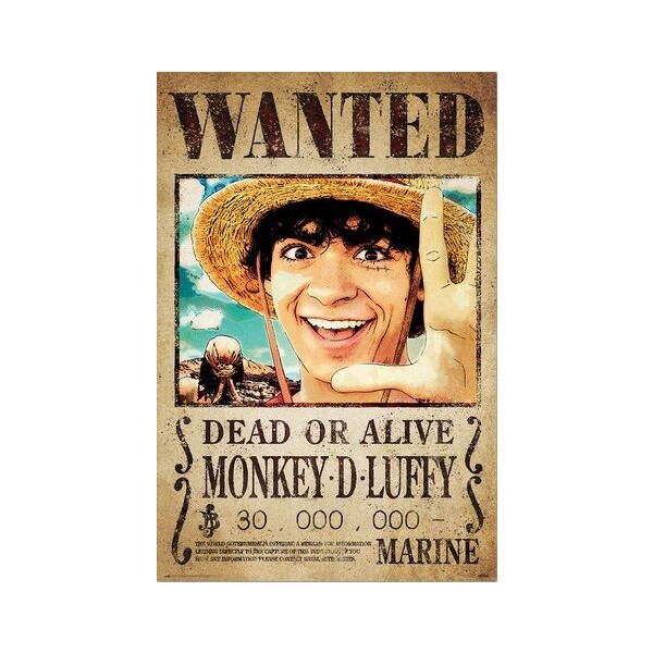 Levně Plakát One Piece - Wanted Monkey D. Luffy (213)