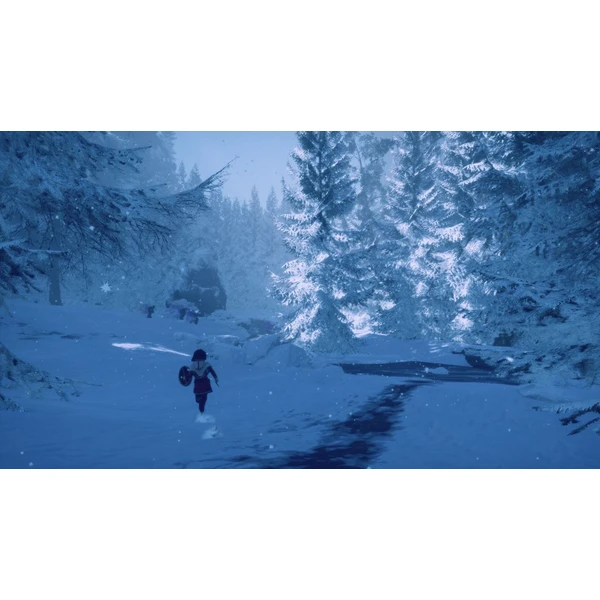Skábma Snowfall (PS5) - Hry pro PS5 - Obrázek ZBF2G00101