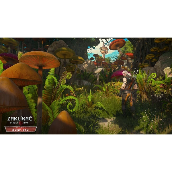 Zaklínač 3: Divoký Hon - O víně a krvi (PS4) - Digitální hry pro PS4 - Obrázek ZUEH100201
