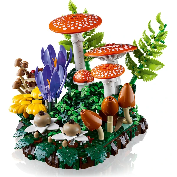 LEGO Botanicals 11505 Lesní houby - LEGO - Obrázek d_4f7b761e7ba541d0afca9efa9a8f97ee